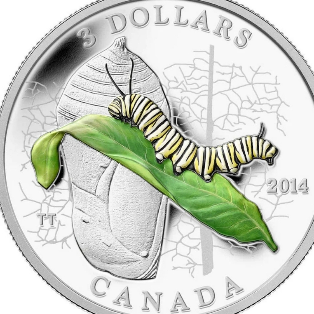 2014 RCM $3 Animal Architects: Caterpillar and Chrysalis - Pure Silver Coin